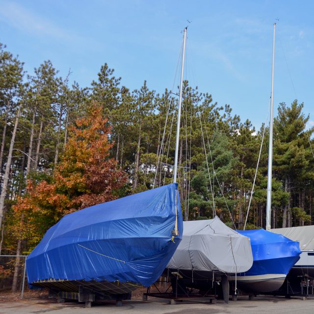 covered boats sitting in a row with trees behind them
